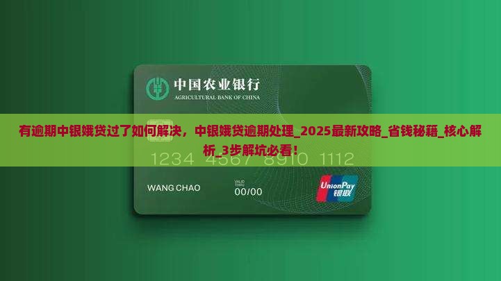 有逾期中银娥贷过了如何解决