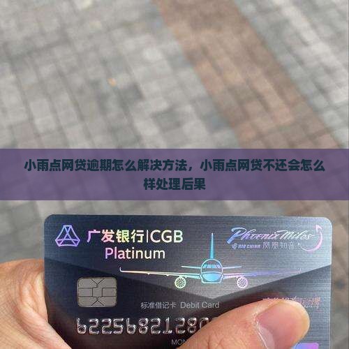 小雨点网贷逾期怎么办理解决方法
