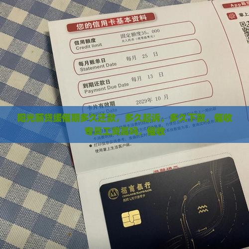 阳光薪贷缓催期多久
