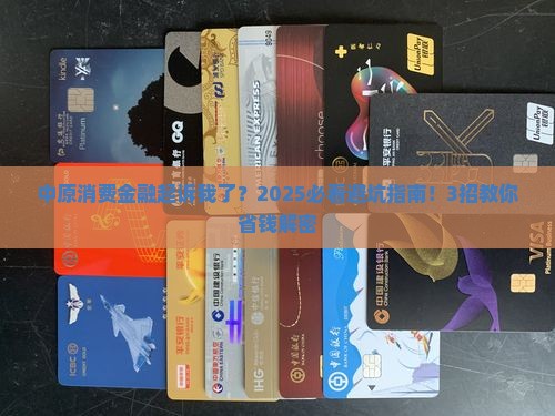 中原消费金融说提起诉讼了