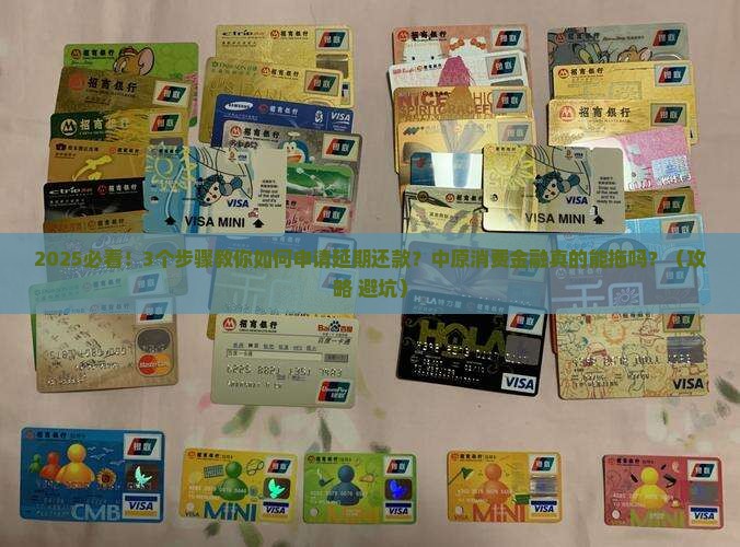 中原消费金融能申请延期还款吗怎么解决
