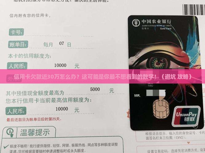 信用卡欠款近30万如何解决