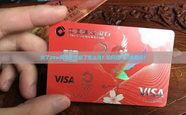 欠了20w网贷还不起了怎么办