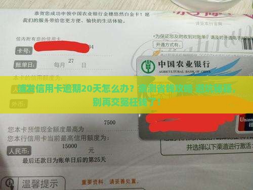 浦发信用卡逾期二十天怎么处理
