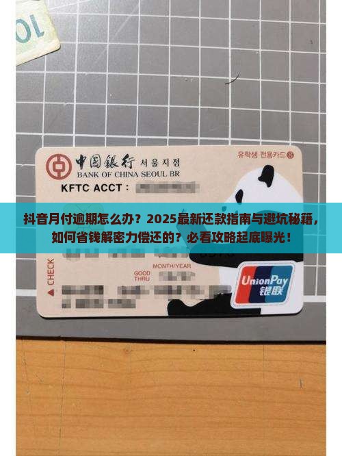 抖音月付无能力偿还如何解决