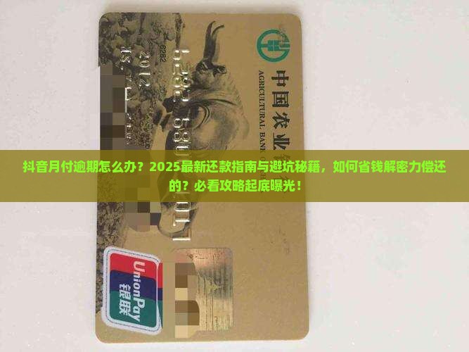 抖音月付无能力偿还如何解决