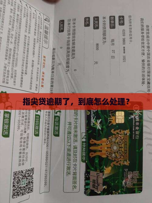 指尖贷逾期经历怎么处理