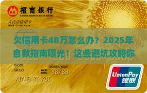 欠信用卡48万怎么办