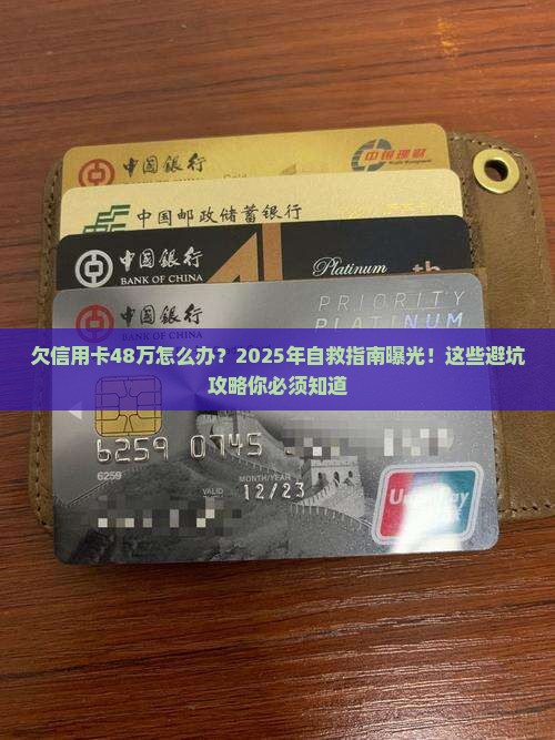 欠信用卡48万怎么办