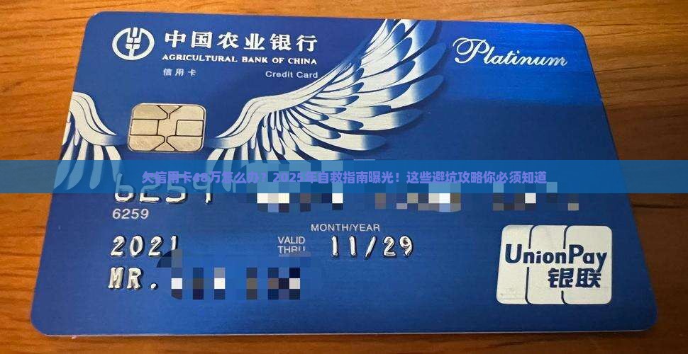 欠信用卡48万怎么办