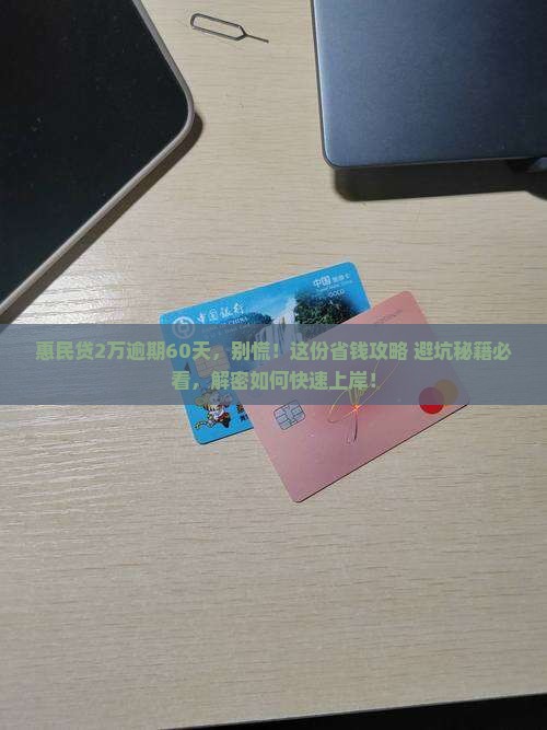 惠民贷逾期2万60天后的处理方法