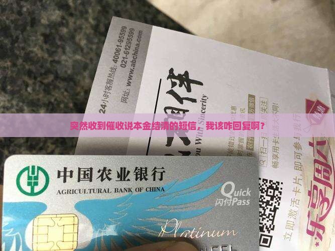 收到催收发的本金结清短信怎么回复