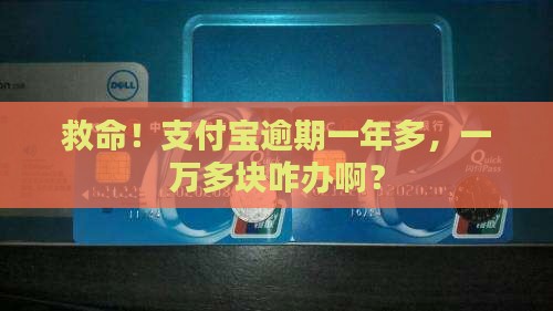 支付宝逾期一年一万多