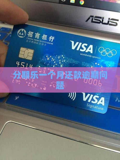 分期乐延迟一个月还款