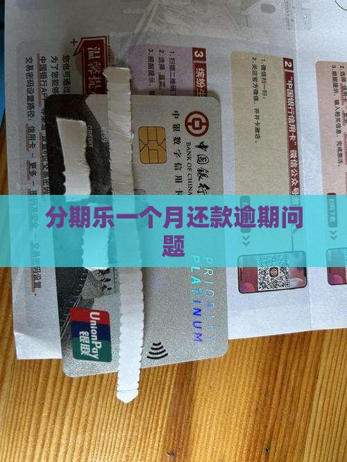 分期乐延迟一个月还款