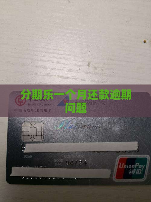 分期乐延迟一个月还款