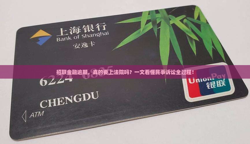 招联金融逾期民事诉讼详解