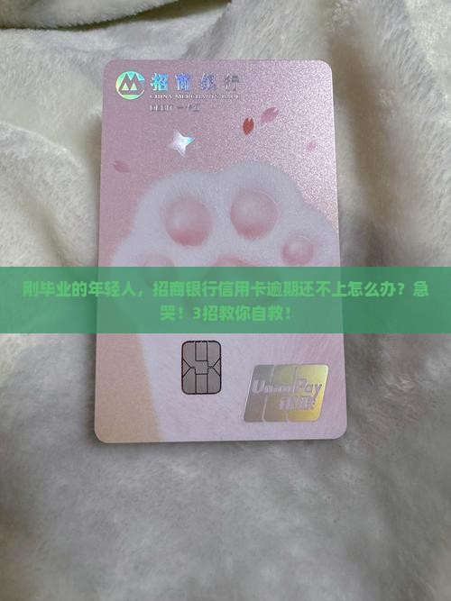 招商银行逾期无力偿还怎么办