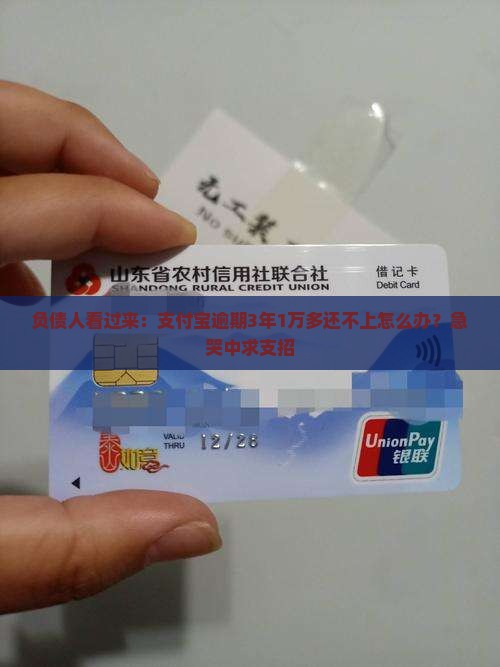 支付宝逾期三年一万多怎么办