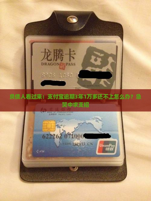 支付宝逾期三年一万多怎么办