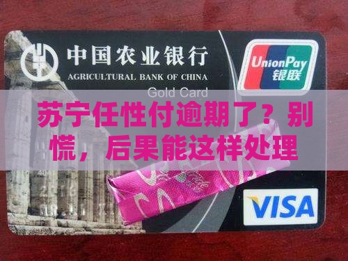 苏宁任性付逾期后果如何处理