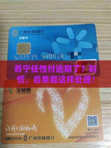 苏宁任性付逾期后果如何处理