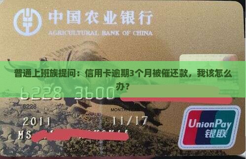 商业银行信用卡逾期如何处理