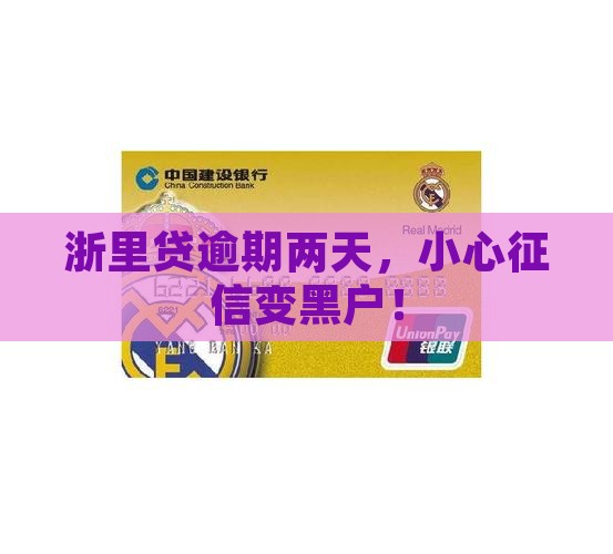 浙里贷逾期两天是否会上征信