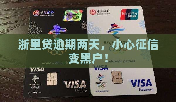浙里贷逾期两天是否会上征信
