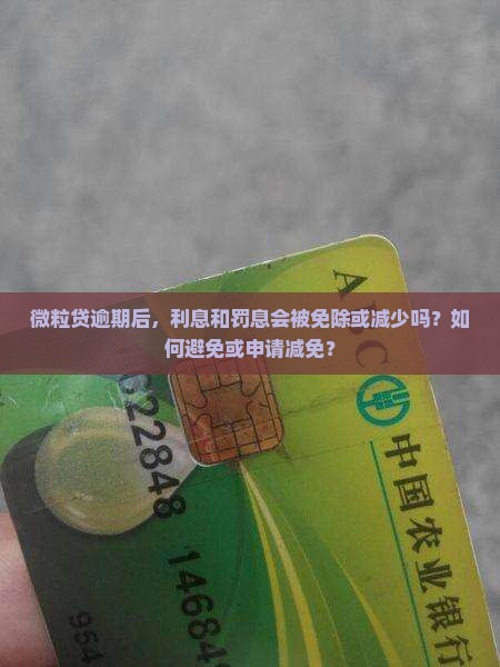 微粒贷逾期利息是否会被免除或减少
