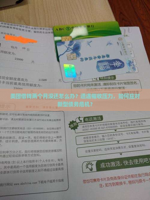 美团借钱两个月没还会怎么处理