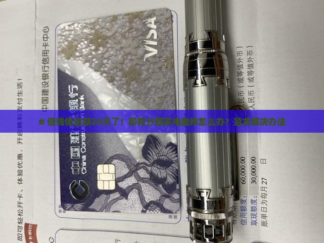 即有分期逾期20天 即有分期逾期20天