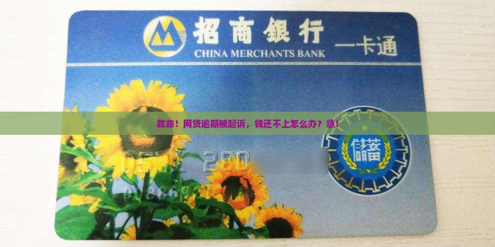网贷逾期被起诉无力偿还应该怎么办