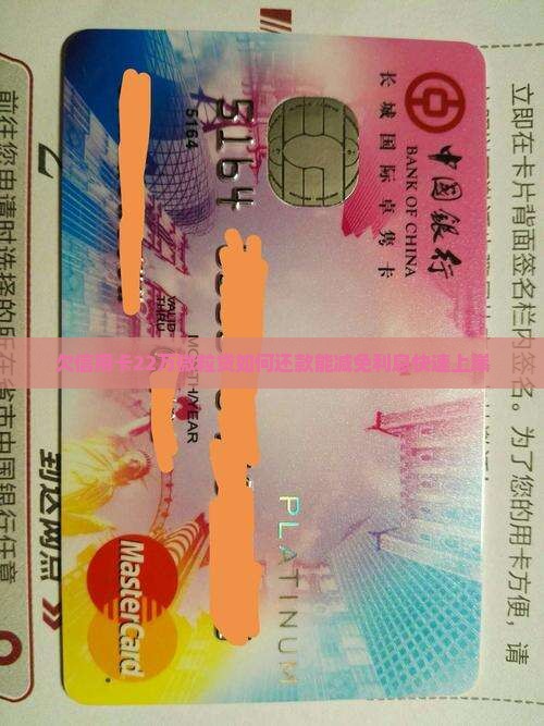 欠信用卡22万微粒贷如何还款