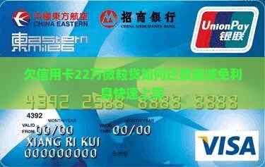 欠信用卡22万微粒贷如何还款