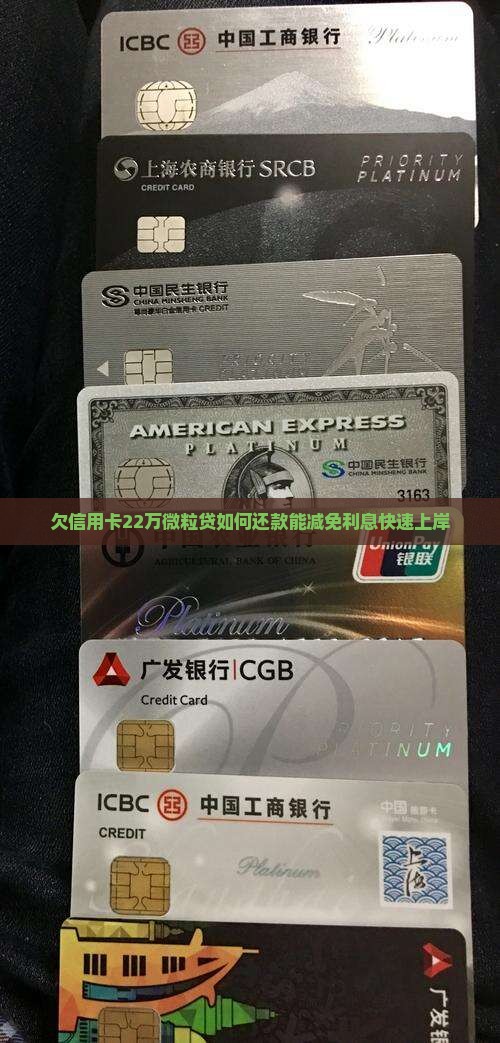 欠信用卡22万微粒贷如何还款