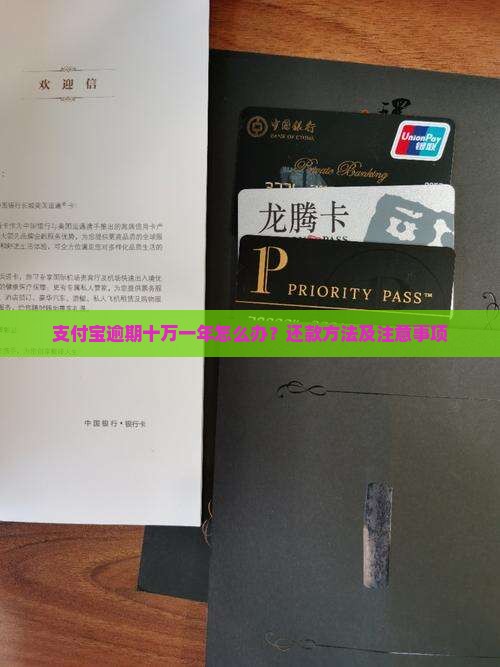 支付宝逾期十万一年怎么办还款方法及注意事项