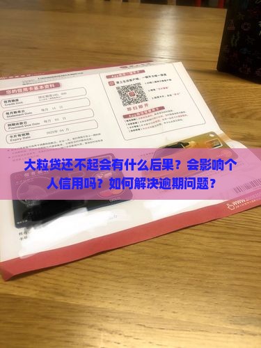 大粒贷还不起会怎么样