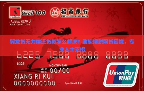 翼龙贷无力偿还贷款怎么解决