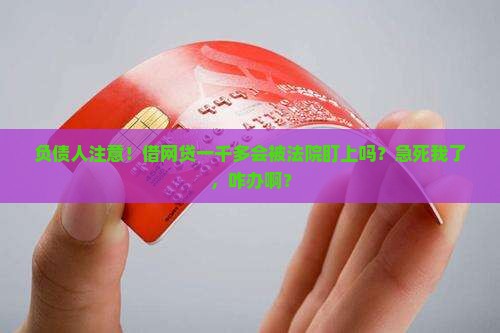 网贷一千多会被起诉吗怎么应对