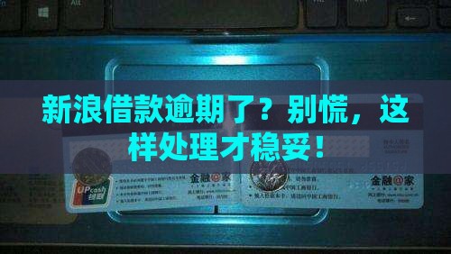 新浪借款逾期后怎么处理