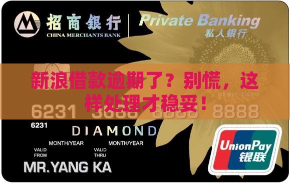 新浪借款逾期后怎么处理