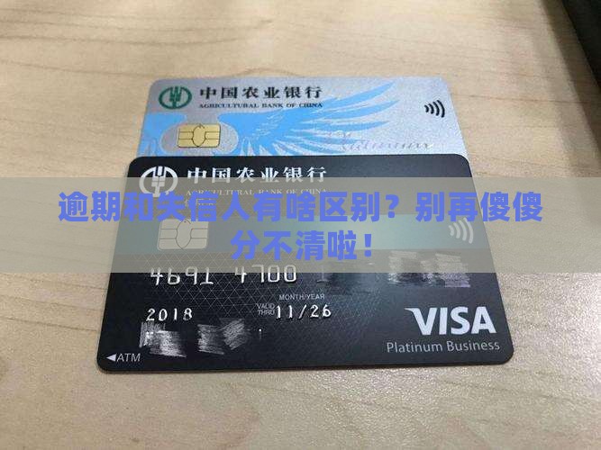 逾期与失信人的区别是哪些