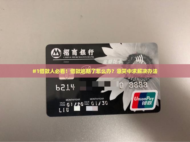 借款逾期后怎么办