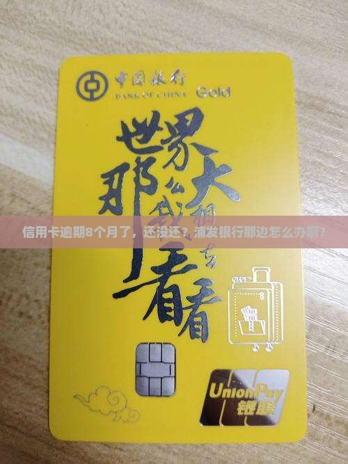 信用卡逾期8个月没还浦发