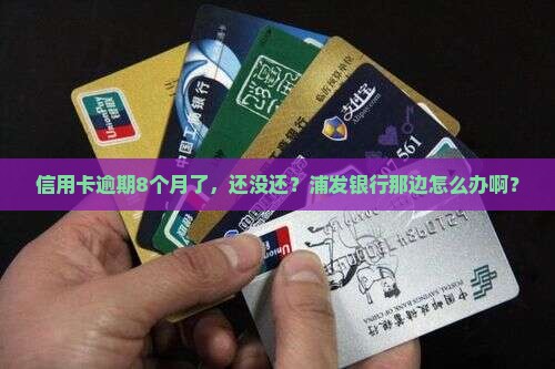 信用卡逾期8个月没还浦发