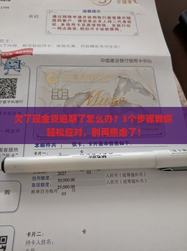 现金贷逾期处理流程及应对策略