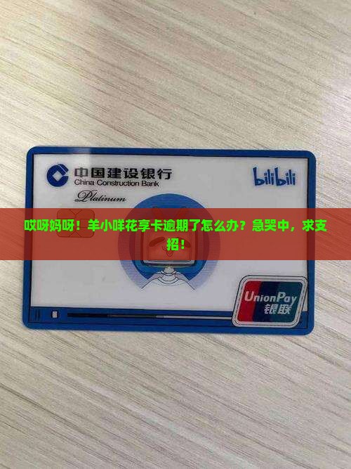 羊小咩花享卡逾期了如何处理