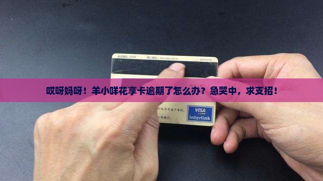 羊小咩花享卡逾期了如何处理