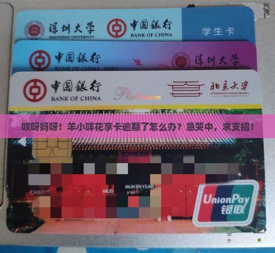 羊小咩花享卡逾期了如何处理